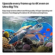 LG تلفزيون LG QNED evo AI QNED85 Mini LED 4K الذكي مقاس 100 بوصة، إصدار 2026, يُبرز تلفزيون LG QNED evo AI Mini LED QNED85 المزود بميزة AI Picture Pro وتقنية Dynamic Tone Mapping Pro مشهدًا تحت الماء لسلحفاة بحرية تسبح فوق الشعاب المرجانية والأسماك، حيث يتعرّف الذكاء الاصطناعي , 100QNED85B8, thumbnail 8