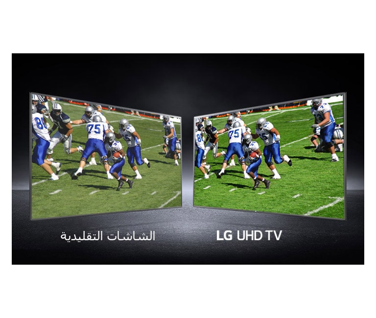 ألوان نابض بالحياة من جميع الزوايا2