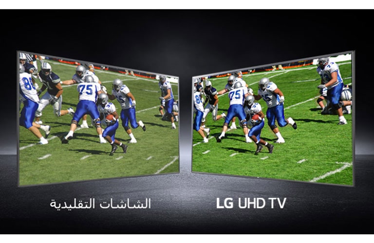 ألوان نابض بالحياة من جميع الزوايا2