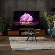 LG تلفزيون OLED مقاس 77 بوصة من مجموعة C1، بتصميم الشاشة السينمائية 4K وتقنية HDR السينمائية ومنصة WebOS الذكية وميزة تعتيم البكسل ThinQ AI, Life Style Image 1, OLED77C1PVB, thumbnail 4