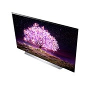 LG تلفزيون OLED 77 بوصة من مجموعة C1، بتصميم الشاشة السينمائية 4K وتقنية HDR السينمائية ومنصة WebOS الذكية وميزة تعتيم البكسل ThinQ AI, مظهر عن قرب يوضح باب ميني واش, OLED77C1PVA, thumbnail 10