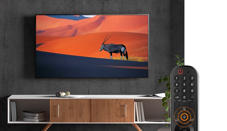 عندما ينشط زر الأوامر الصوتية ويصدر الأمر بالانتقال إلى القناة رقم 100 بدلاً من القناة التي تعرض حيوانًا في الصحراء، يتحول التلفزيون إلى القناة رقم 100 التي تعرض شخصًا يلعب على الجيتار. (تشغيل الفيديو)