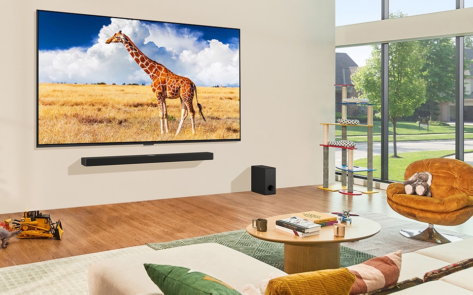 اكتشف كيفية اختيار أفضل شاشة تلفزيون لغرفة المعيشة