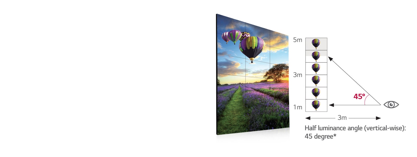 Wide Viewing Angle<br>1