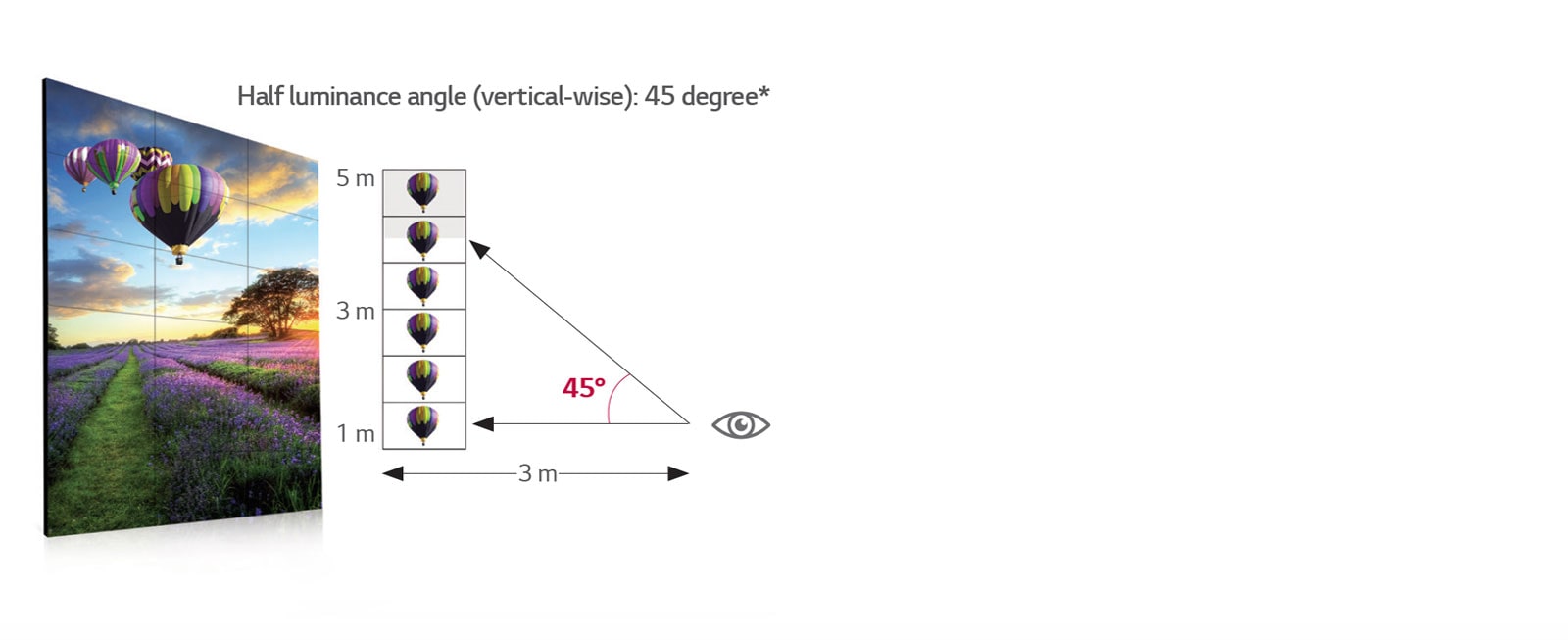 Wide Viewing Angle<br>1