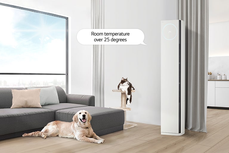 The lying dog next to the air conditioner in the living room