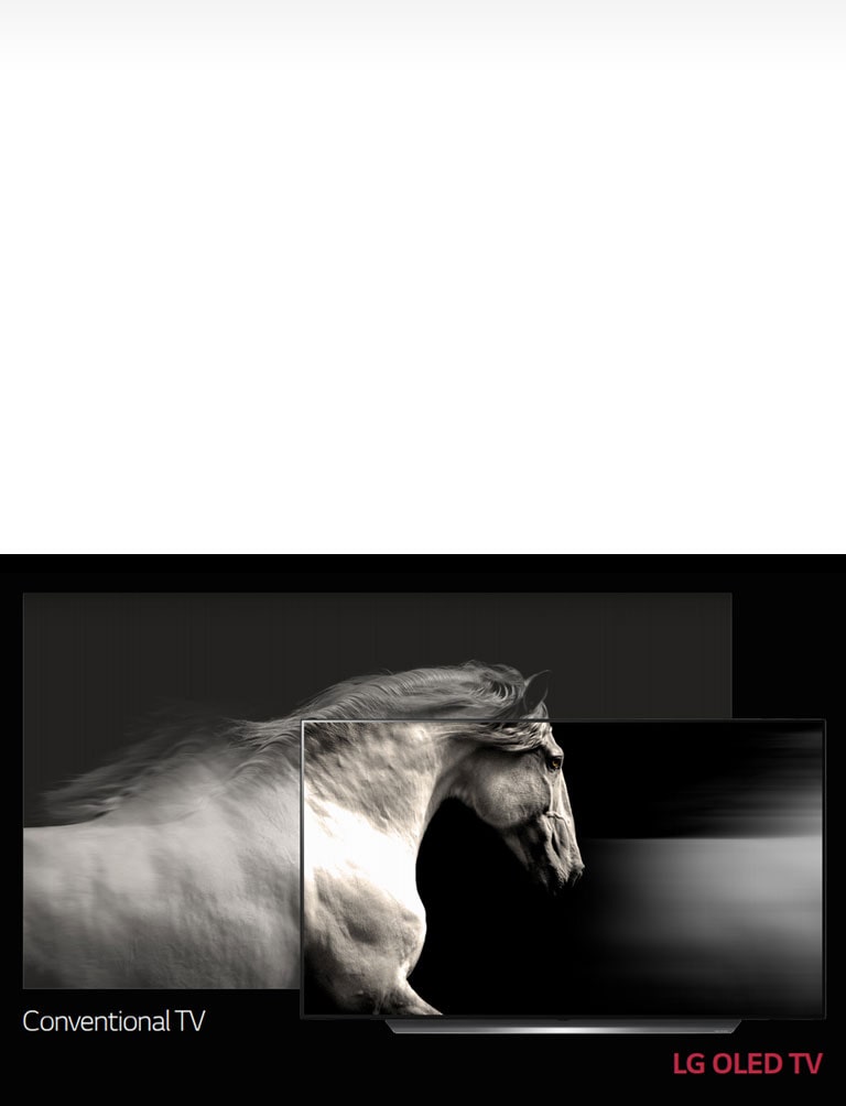 Perfect Black. Intense Color2