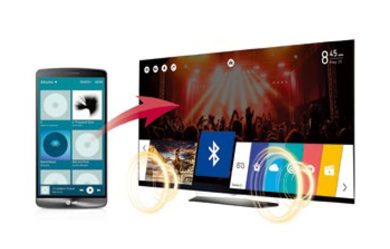 Bluetooth Sound Sync (Bluetooth 3.0)<br>2