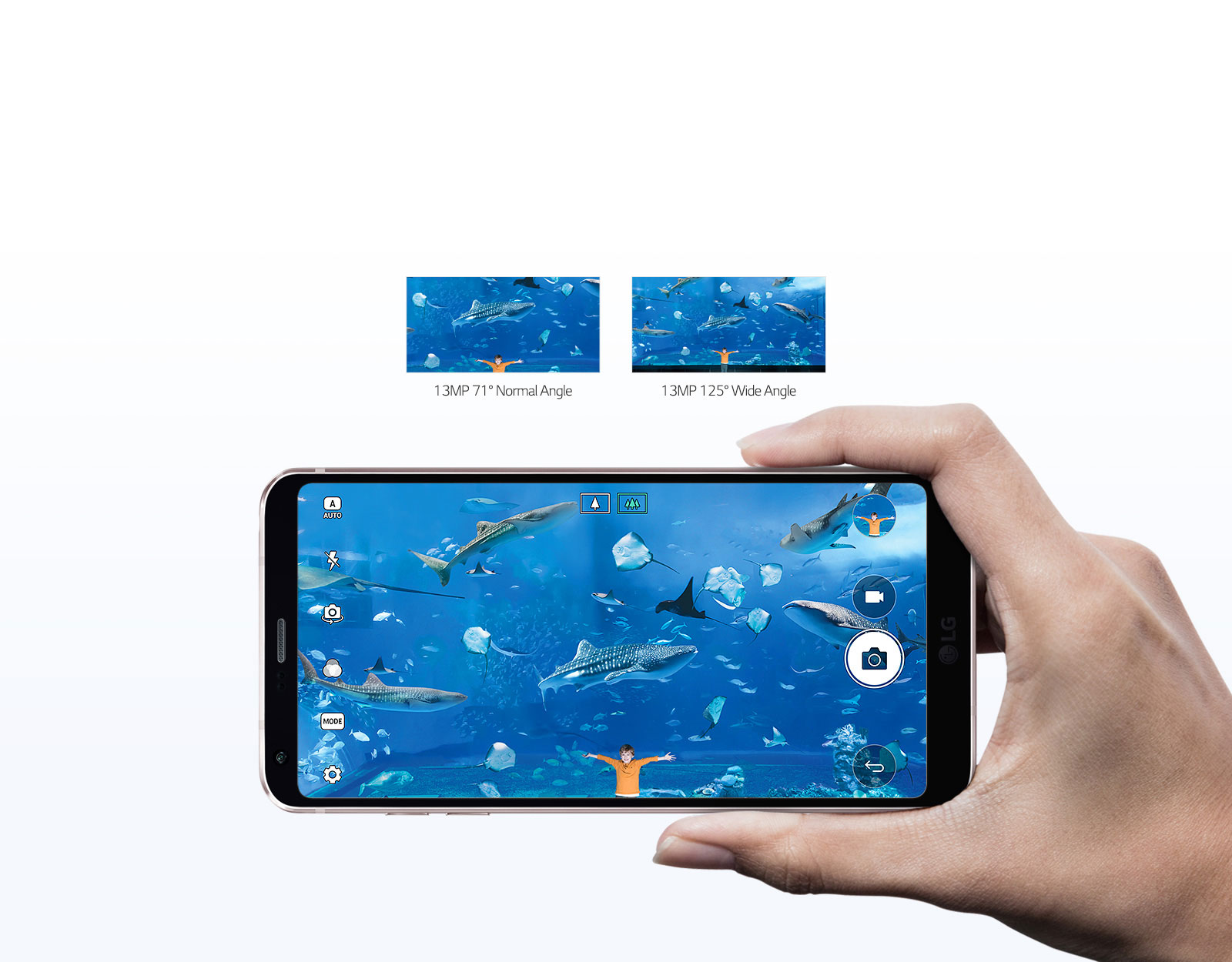 Capture the Big Picture<br>1