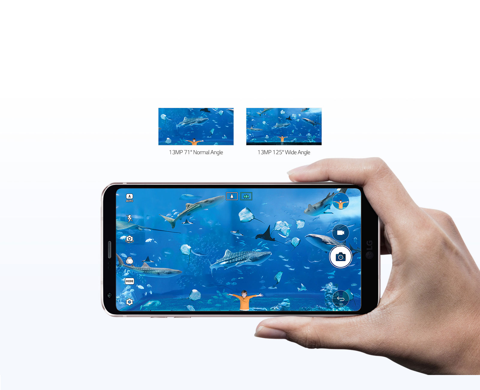 Capture the Big Picture1