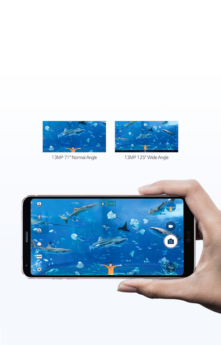 Capture the Big Picture2