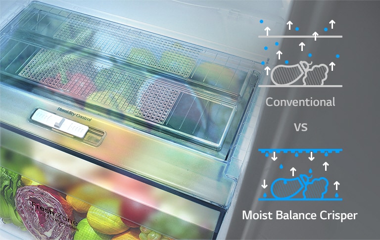 Moist Balance Crisper™2