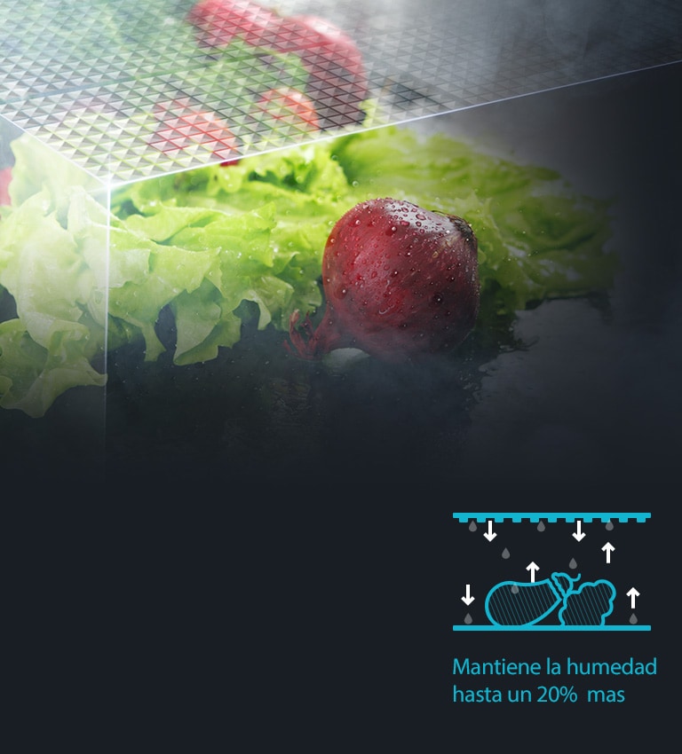 Moist Balance Crisper™<br>2