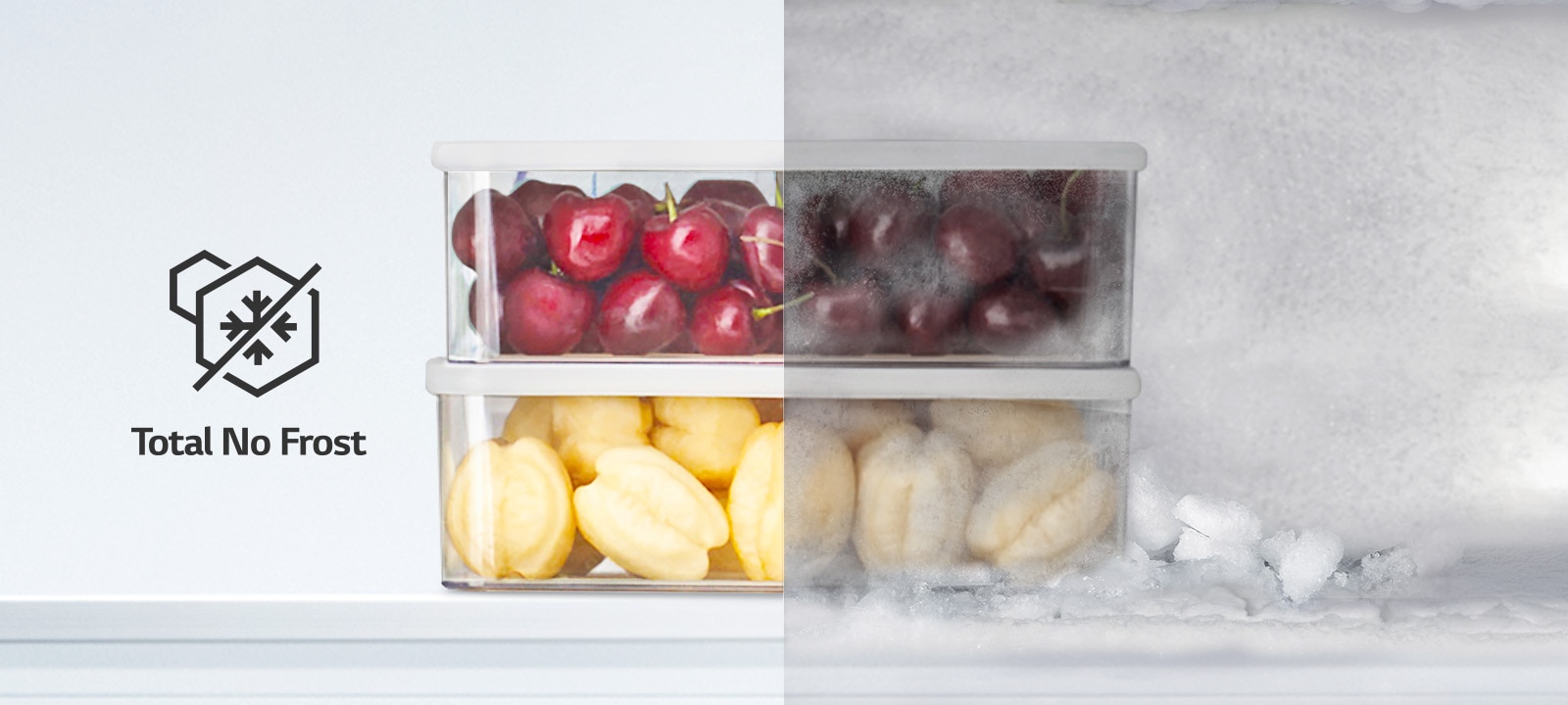 LG Bottom Freezer Refrigerator m226mpybam featuring Total No Frost technology and Multi Air Flow vents for even cooling.