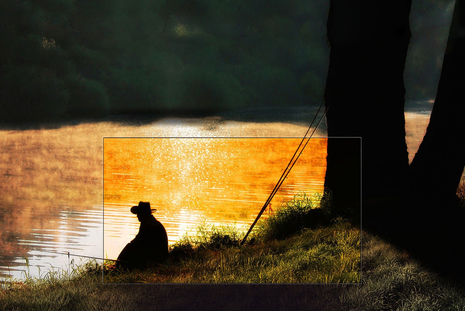 Perfect Black. Stunning Contrast.<br>1