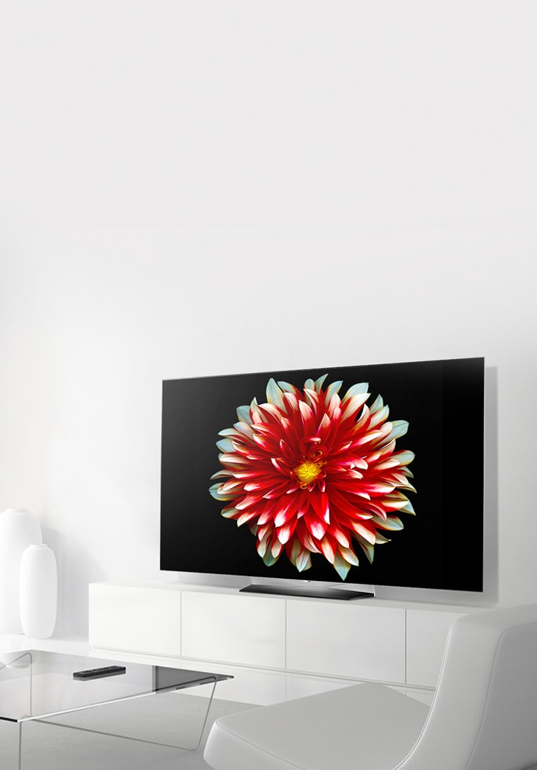 The supreme image quality<br>the world longs for2