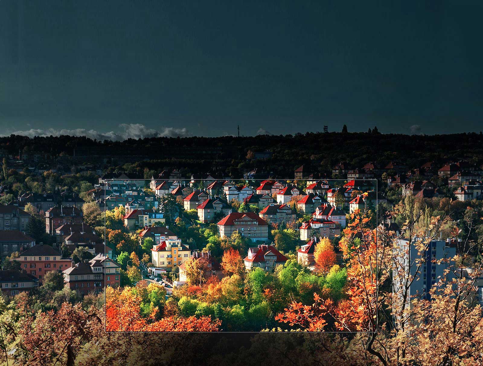 Spectacular colors by NanoCell™ Display<br>1