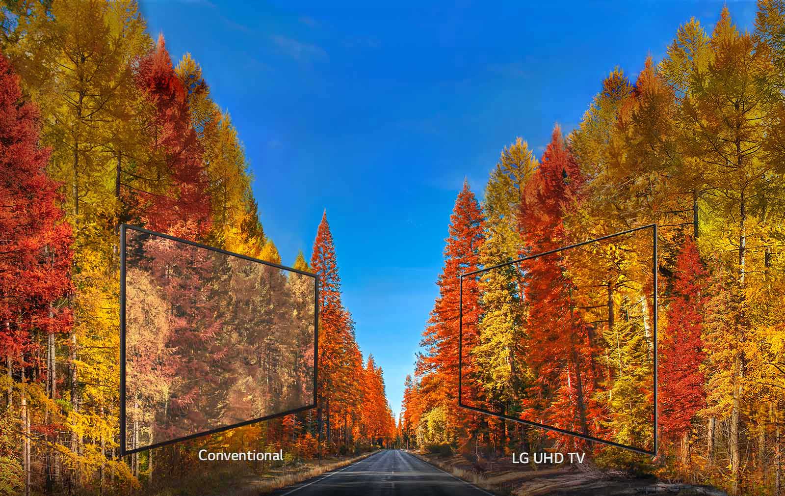 Revealing the truth about colors in TV<br>1