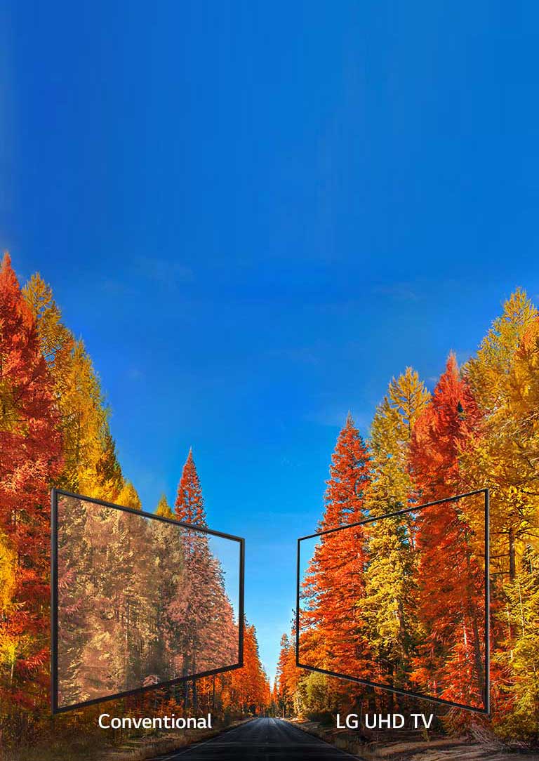 Revealing the truth about colors in TV<br>2