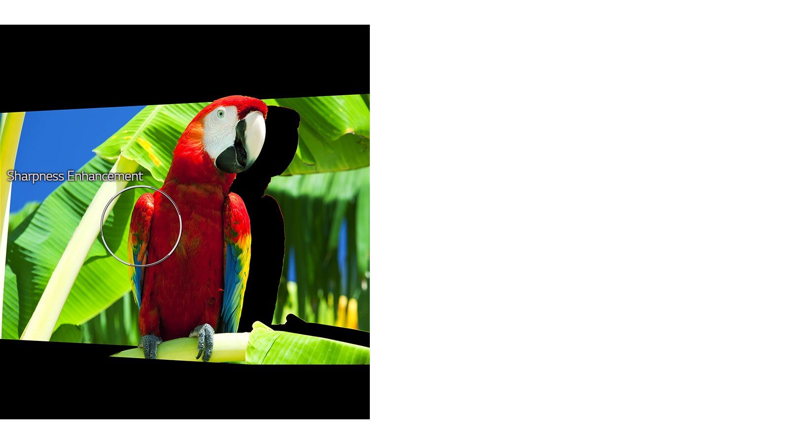 04_Alpha9_Sharpness_Enhancer_desktop