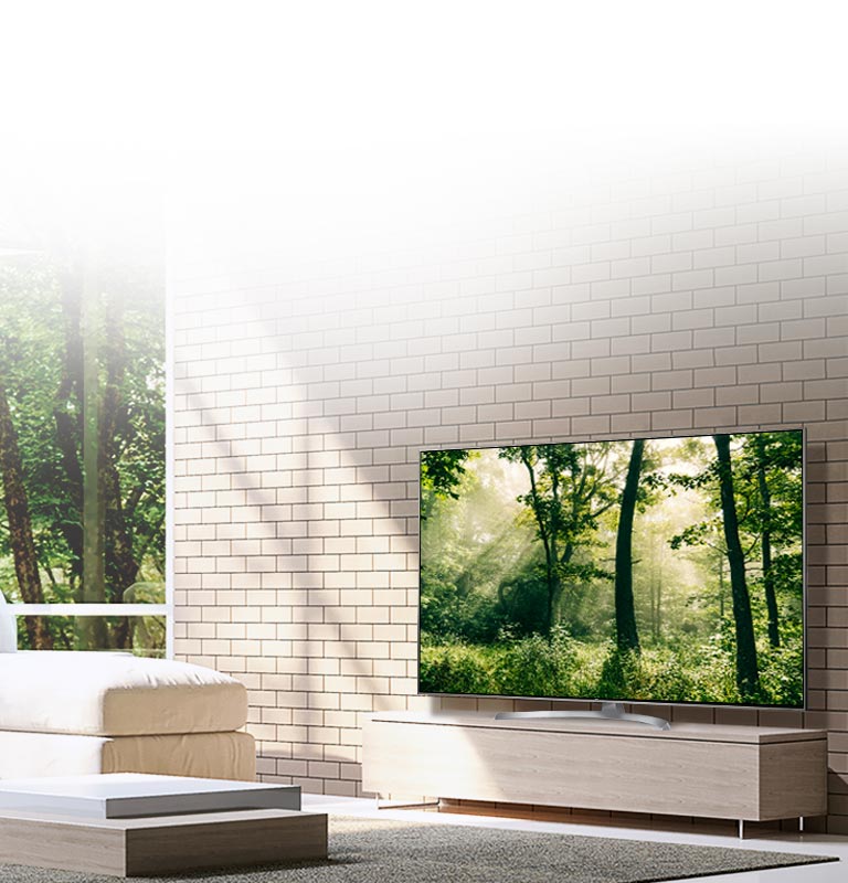 Boundless Cinema Screen<br>2