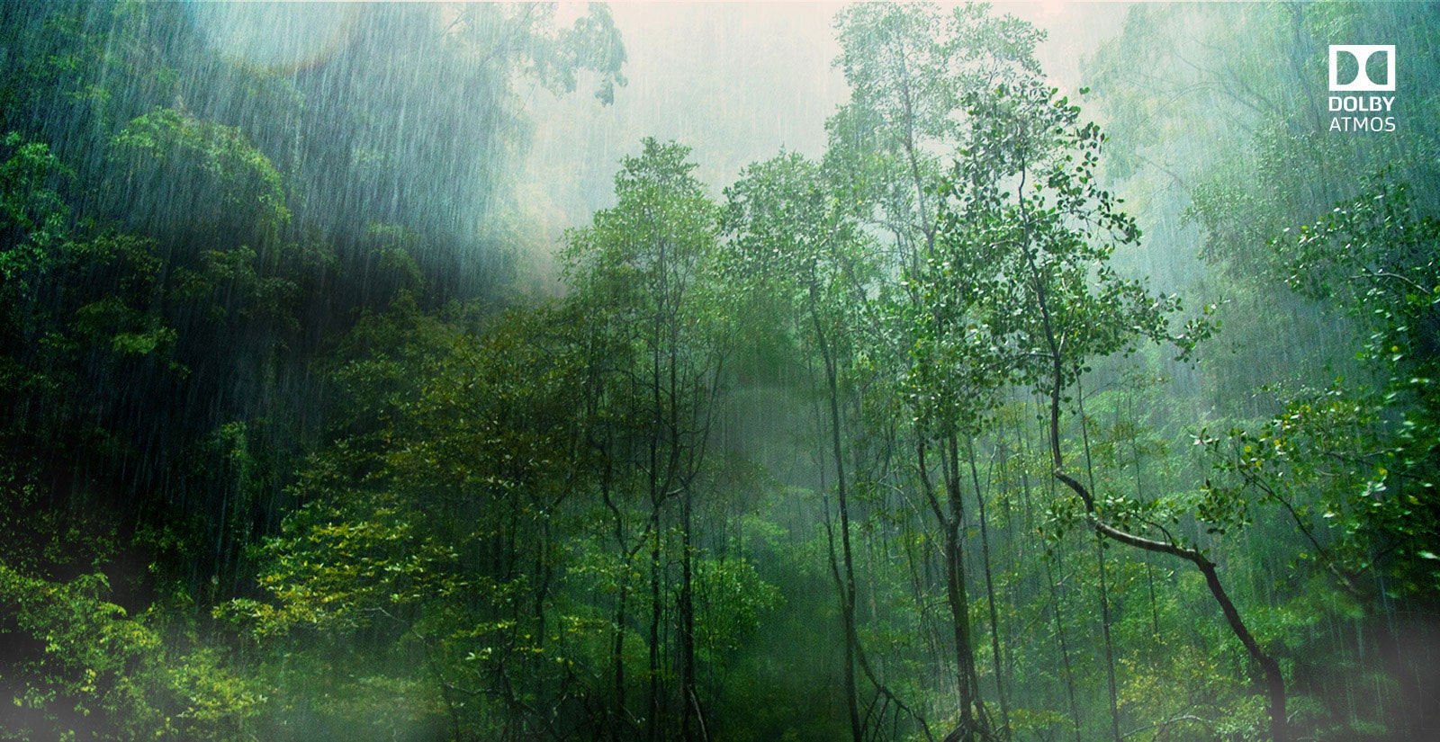 Dolby Atmos® Cinematic Sound at Home<br>1