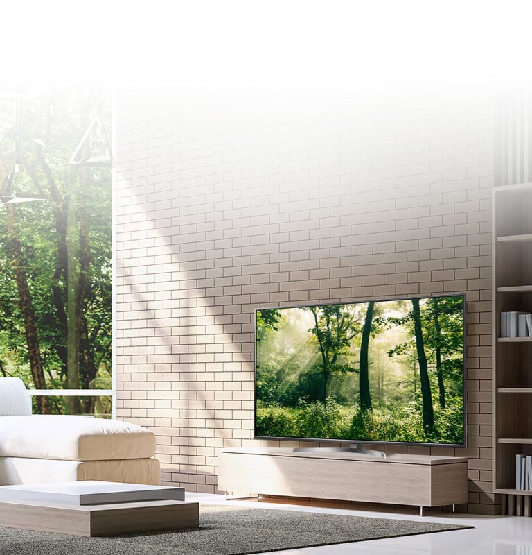 Boundless Cinema Screen<br>2