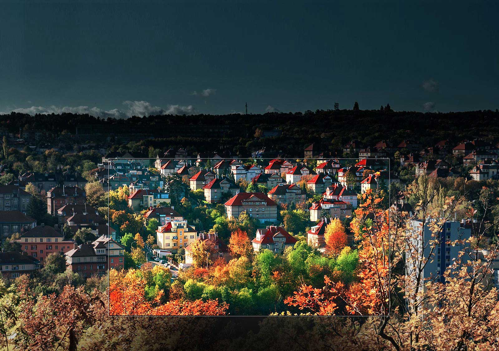 Spectacular colors by Nano Cell™ Display1