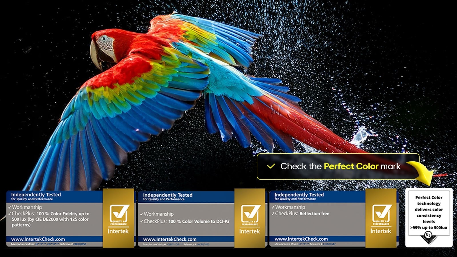 Colorful parrot in ultra-high definition against a black background. Water drops are suspended in the air all around it. The image showcases Perfect Color as each different hue on the parrot's body is vibrant and vivid. The dark background with the detailed water splashes also highlights how the screen is reflection-free. Different logo certifications from UL and Intertek are visible. These refer to its 100% Color Fidelity, 100% Color Volume, and reflection-free claim. Text is also visible, check the Perfect Color certification mark.