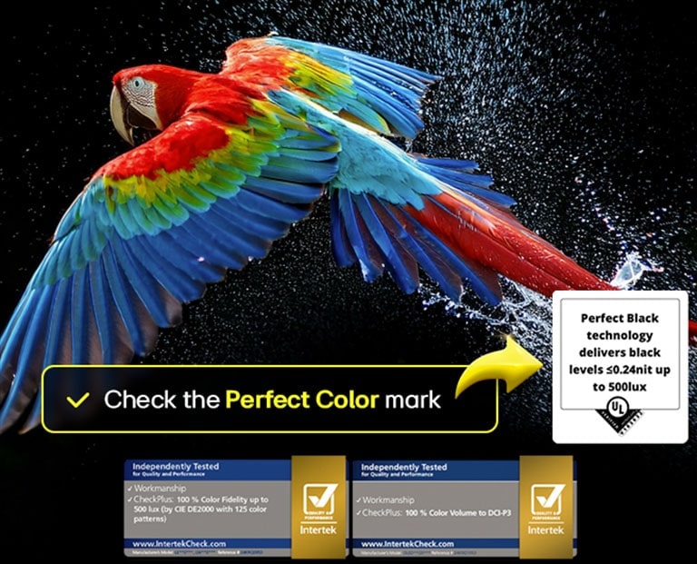 Colorful parrot in ultra-high definition against a black background. Water drops are suspended in the air all around it. The image showcases Perfect Color as each different hue on the parrot's body is vibrant and vivid. The dark background with the detailed water splashes also highlights how the screen is reflection-free. Different logo certifications from UL and Intertek are visible. These refer to its 100% Color Fidelity, 100% Color Volume, and reflection-free claim. Text is also visible, check the Perfect Color certification mark.