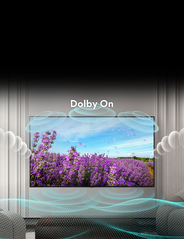 QNED TV screen shows a rapeseed pink flowers on summer field and the text in the middle says Dolby OFF. The inscreen image becomes brighter and the text changes to dolby on.