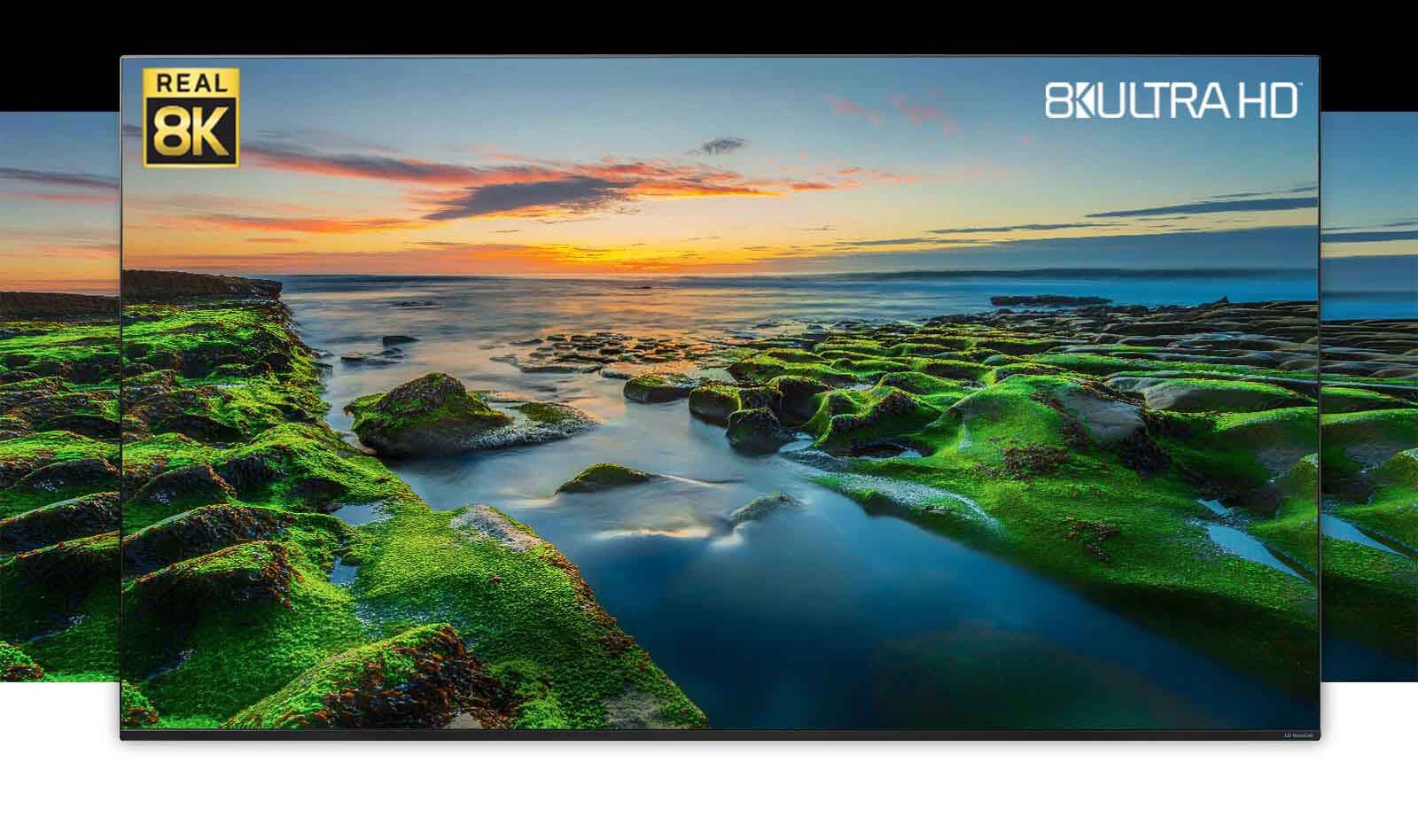 TV screen showing the wide view of nature with Real 8K and CTA logos