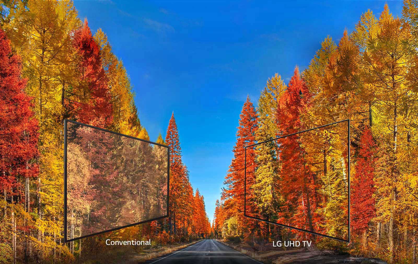 Consistent images at any angle<br>1