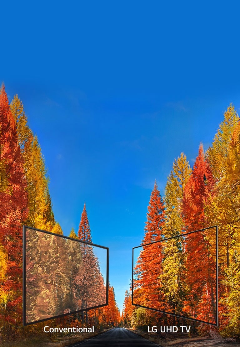 Consistent images at any angle<br>2