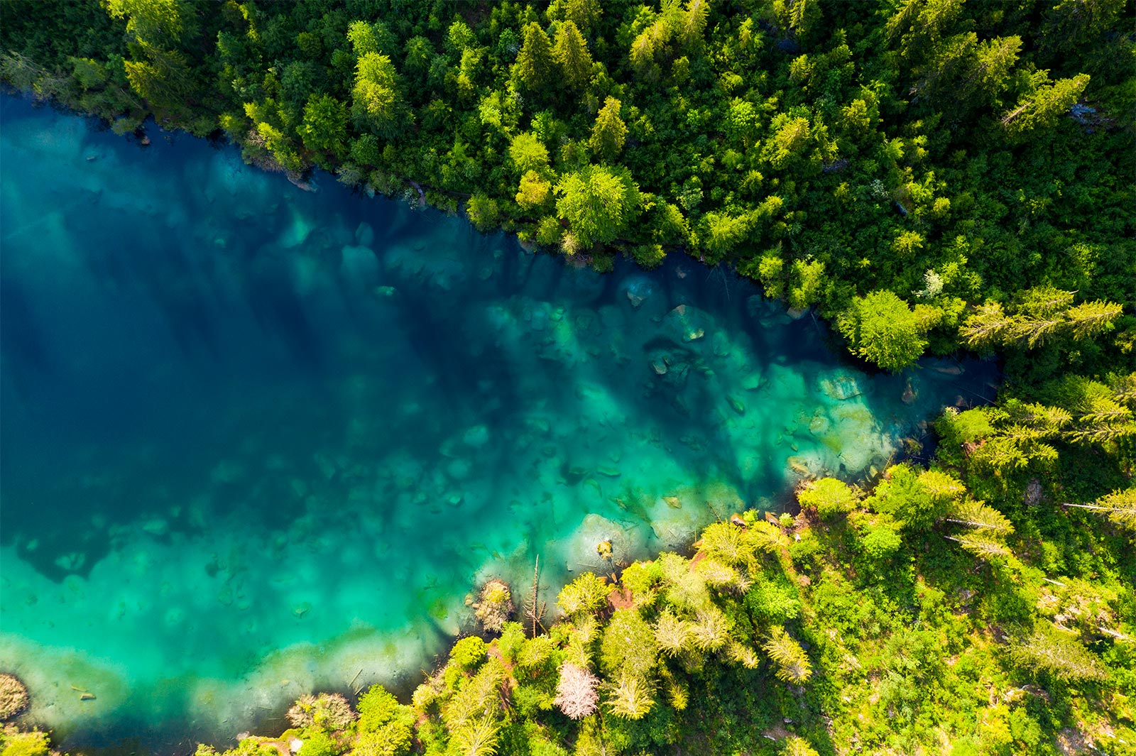 This image is a dense natural forest where a river flows in the middle of Top View. This is an image that describes FHD.