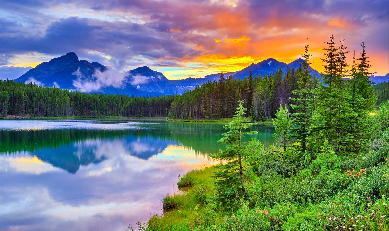 Cette carte décrit la qualité de l'image.  C'est une image d'un coucher de soleil coloré dans un lac entouré de forêts.