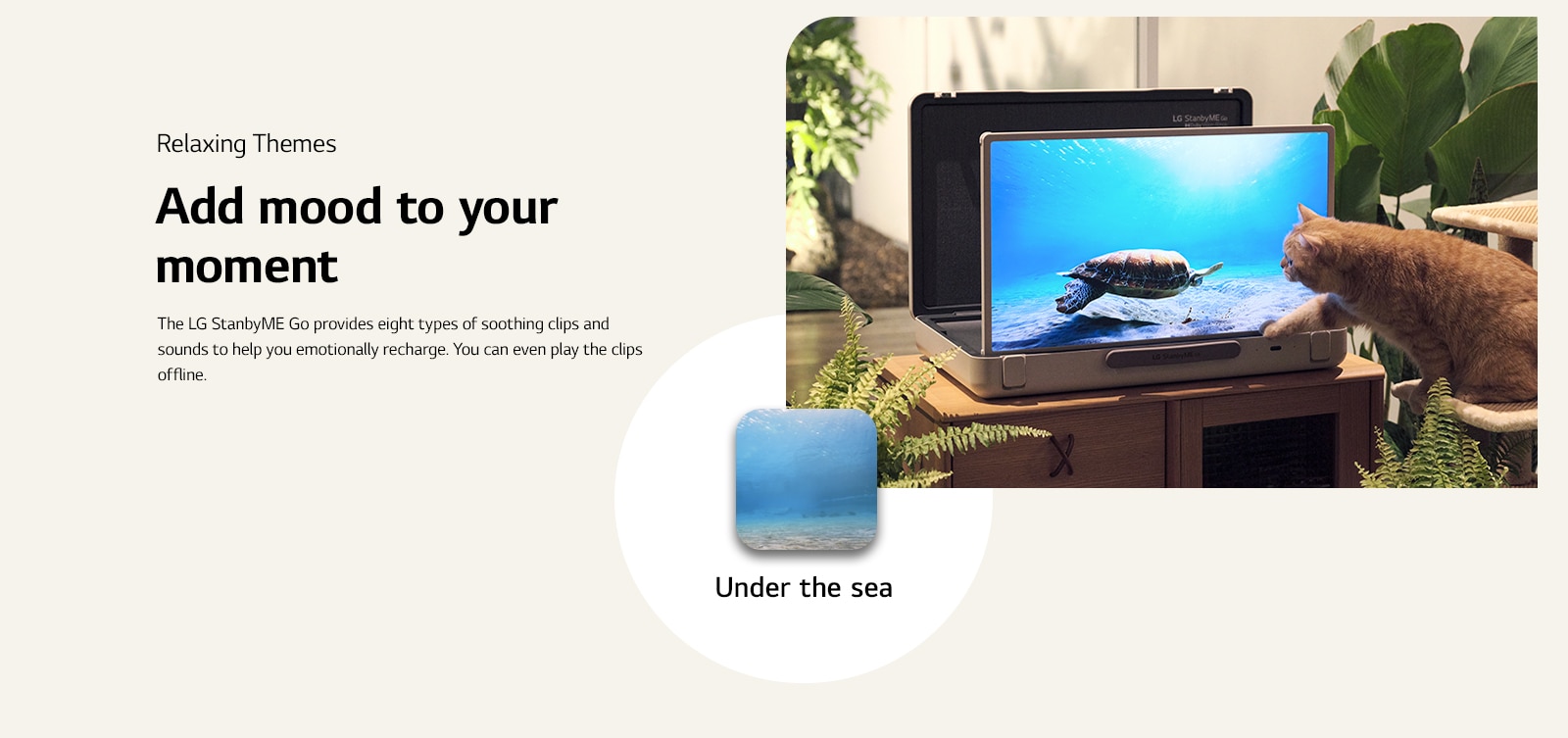 The LG StanbyME Go is placed in the garden, and the screen shows under the sea. In front of the screen a cat is sitting on a stool, trying to catch a turtle in the screen.
