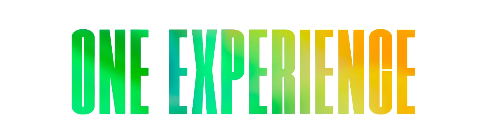 The words 'ONE EXPERIENCE' in a green and yellow gradient pattern.