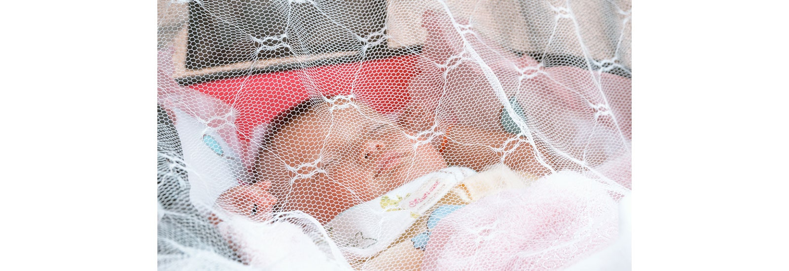 Let Mosquito Nets Be Your First Line of Defense