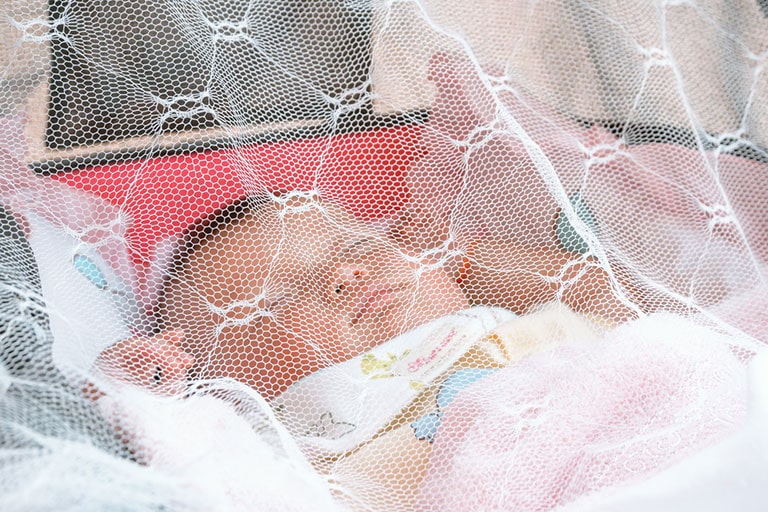 Let Mosquito Nets Be Your First Line of Defense