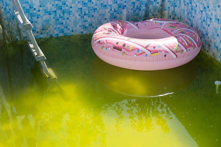 Eliminate Stagnant Water: Stop Mosquitoes Before They Start