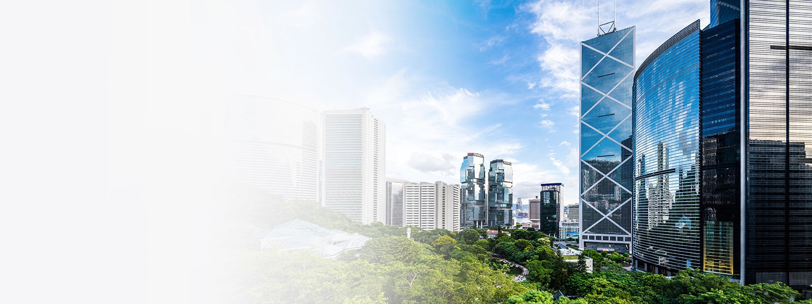 An image of a big park next to tall buildings.