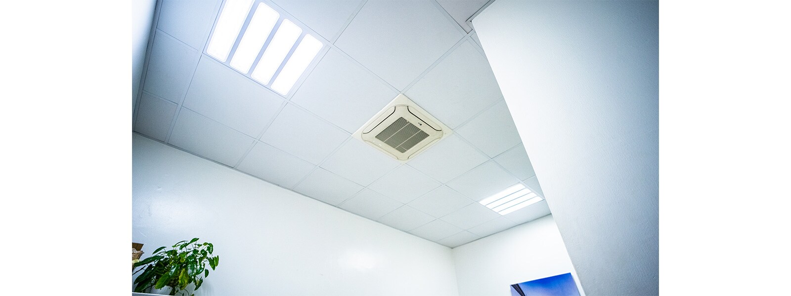 User-Friendly Controls