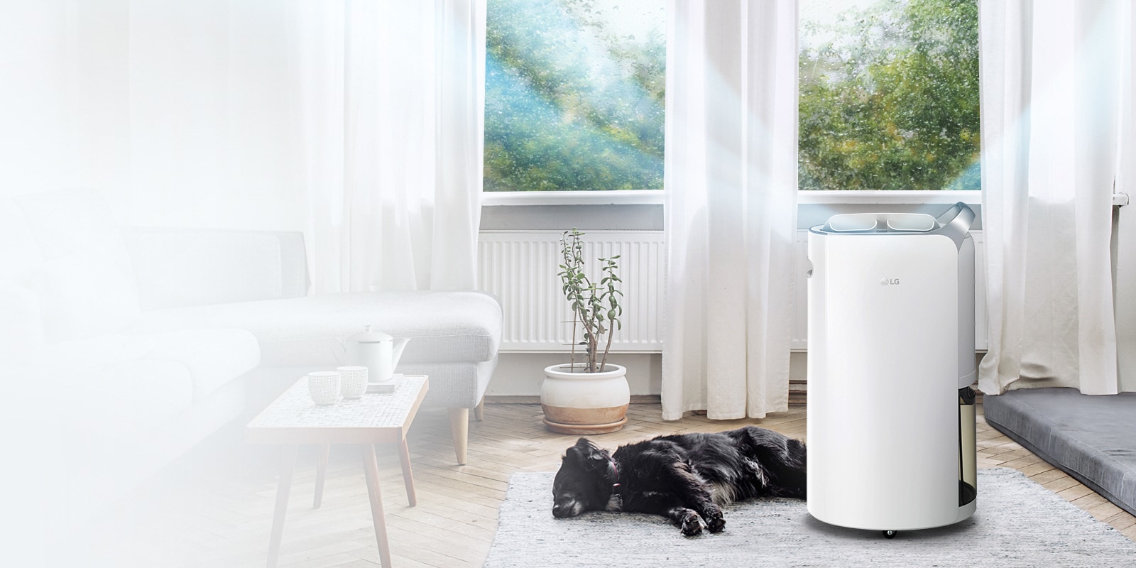 Safe Plus Filter to Health of the Family