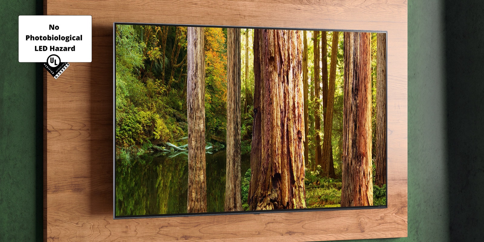 The image of forest on the TV screen