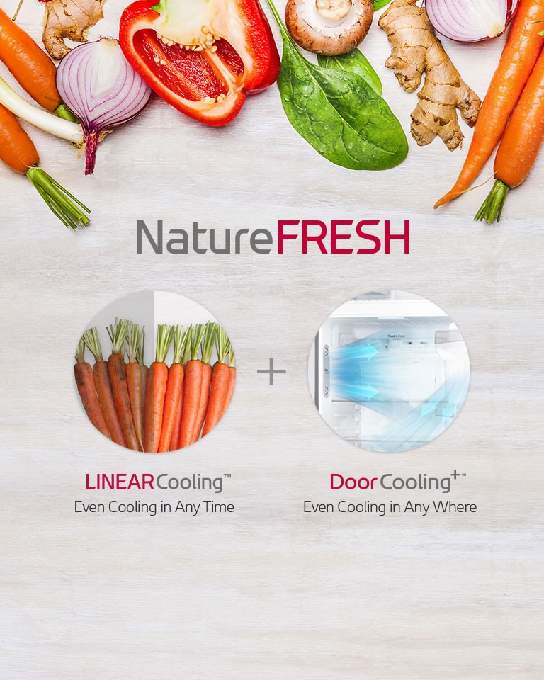 "How to keep our foods fresher and longer?"<br>"The solution is precise temperature control."