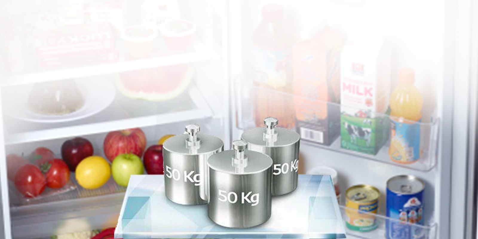 Shop LG 199L 1 Door Refrigerator LG GNY331SLS Specs & Features LG