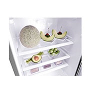LG 199L 1-Door Refrigerator with Larger Capacity, FRIDGE DETAIL 2, GN-Y331SLBB, thumbnail 5