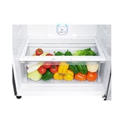 LG 549Ltr, Top Freezer, Door-in-Door®, LINEAR Cooling™ and HygieneFresh+™, GN-A702HLHU, thumbnail 7