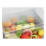 LG 234(L) | Top Freezer Refrigerator | Inverter Linear Compressor | Multi Air Flow, Drawer_With_Food, GL-C252SLBB, thumbnail 3
